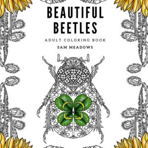 Beautiful Beetles